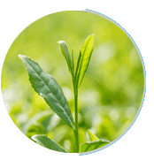 Prosta Peak Ingredients