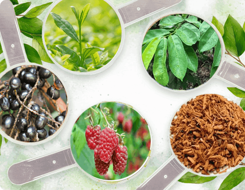 Prosta Peak Ingredients